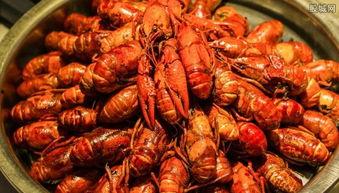 龙虾最新爆料新闻报道,揭秘幕后真相，震惊业界！